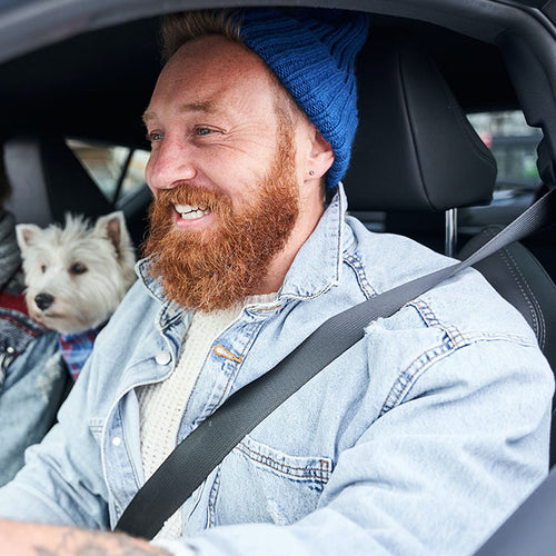 Red hair man with beard driving with his dog on the side