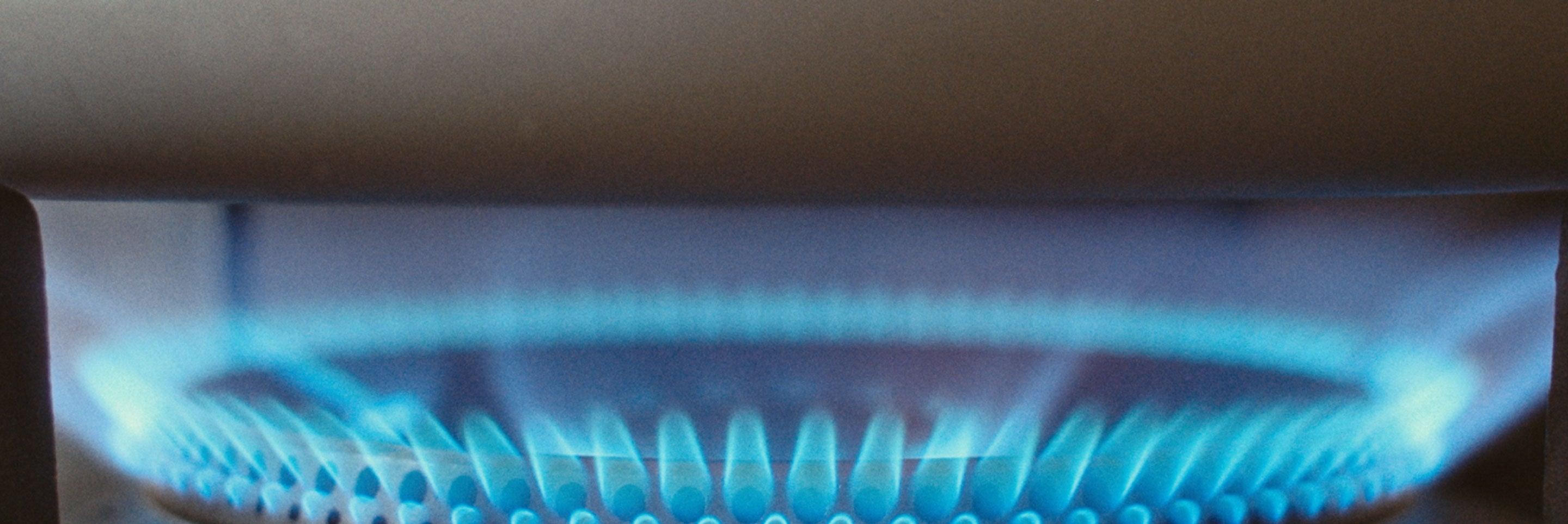 Fresh Out The Kitchen The Scotch Porter Origin Story