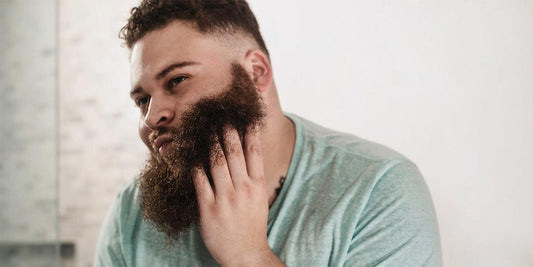 Scotch Porter Five Tips to Grow Your Beard