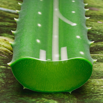 ingredient aloe vera