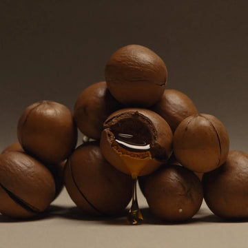 ingredient argan oil