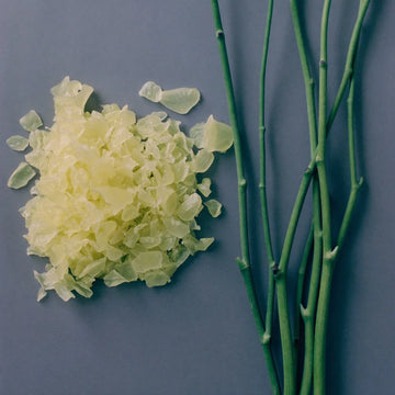 ingredient candelilla wax
