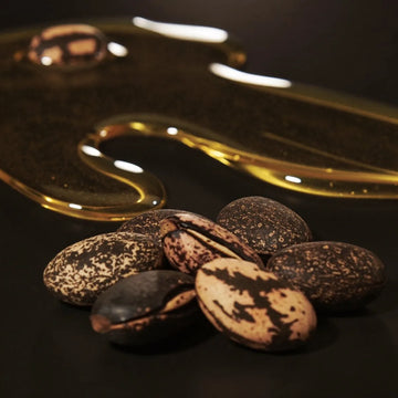 ingredient castor oil