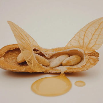 ingredient moringa seed oil