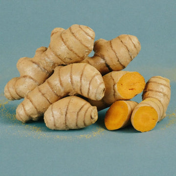 ingredient turmeric root