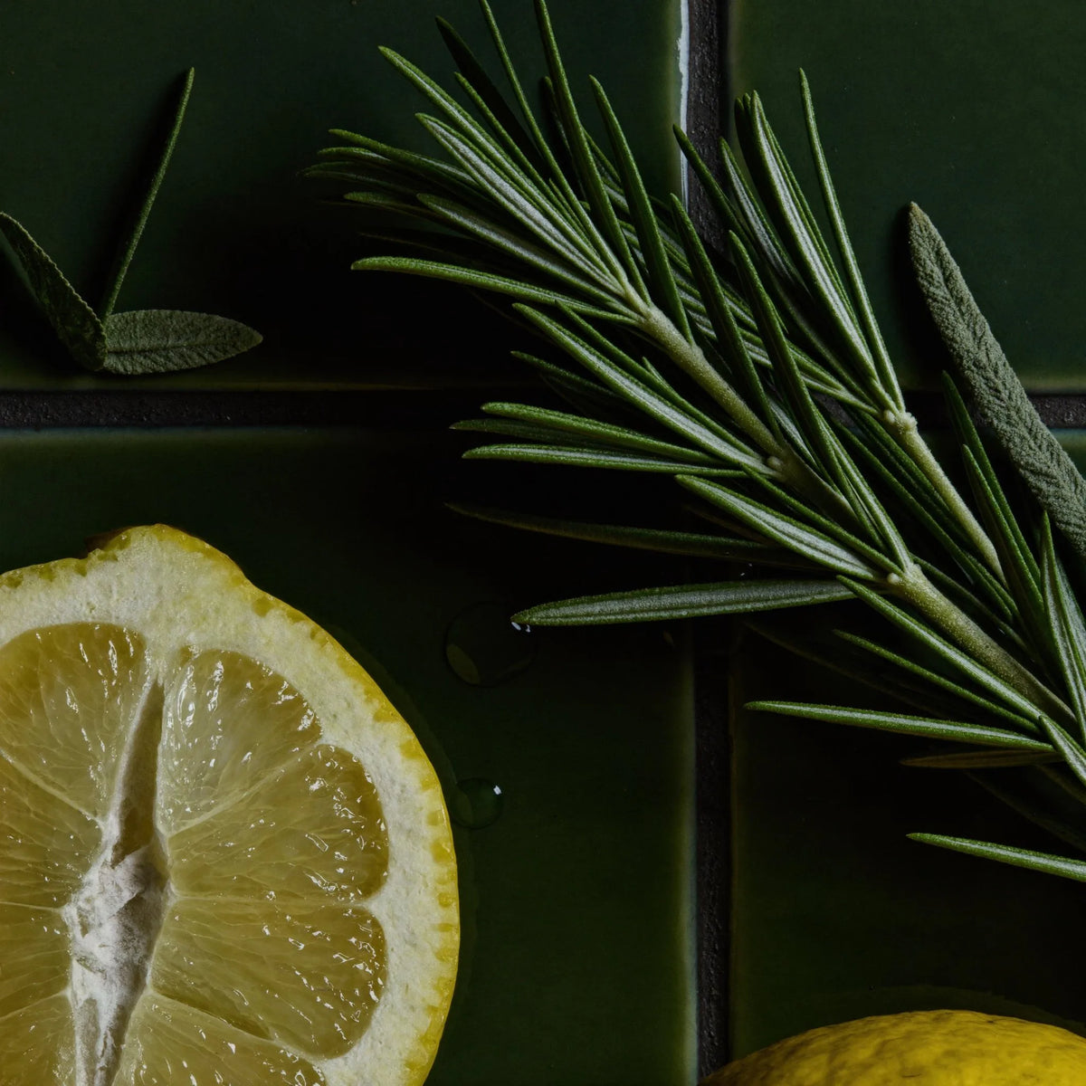 scent citrus herbal